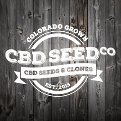 High CBD Seed