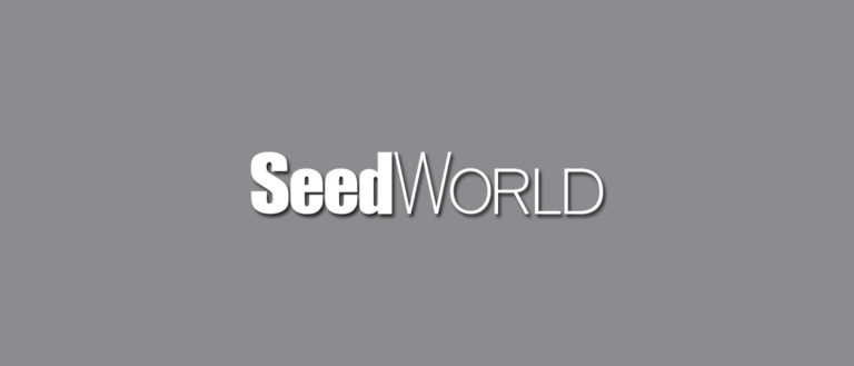 cbd wholesale seedworld-generic