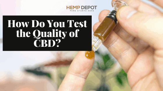 How Do You Test the Quality of CBD?