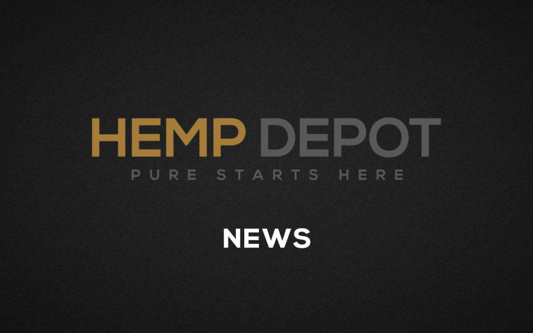 Hemp Depot Achieves 10,000% Growth and Forecasts Top CBD Market Opportunities