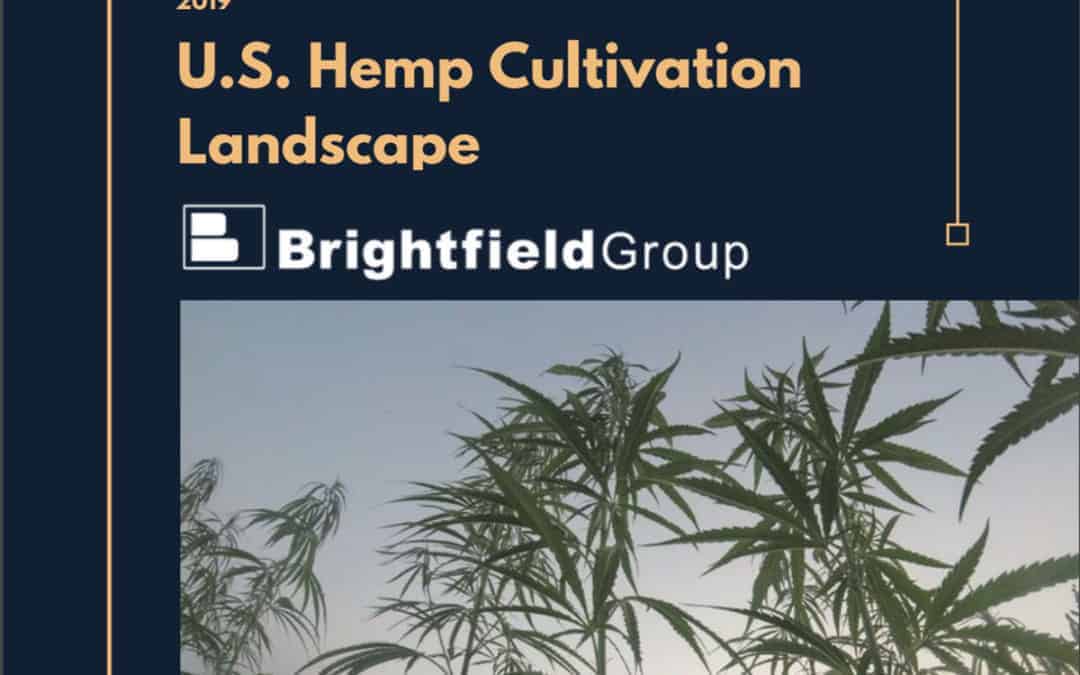 Brightfield Group: US Hemp Cultivation Landscape Analyst Report