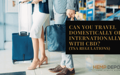 Can You Travel Domestically or Internationally with CBD (TSA Regulations)?