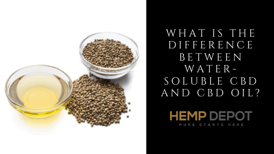 difference water soluble cbd oil