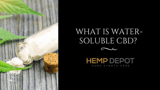 What Is Water-Soluble CBD