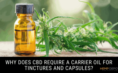 Why Does CBD Require a Carrier Oil for Tinctures and Capsules?