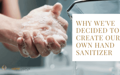 Why We’ve Decided to Create Our Own Hand Sanitizer
