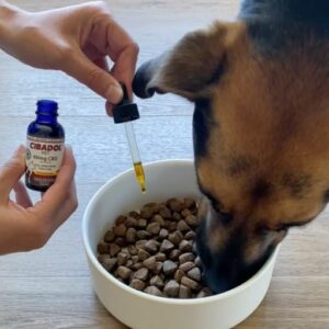 Dog consuming Cibadol's Pet CBD tincture