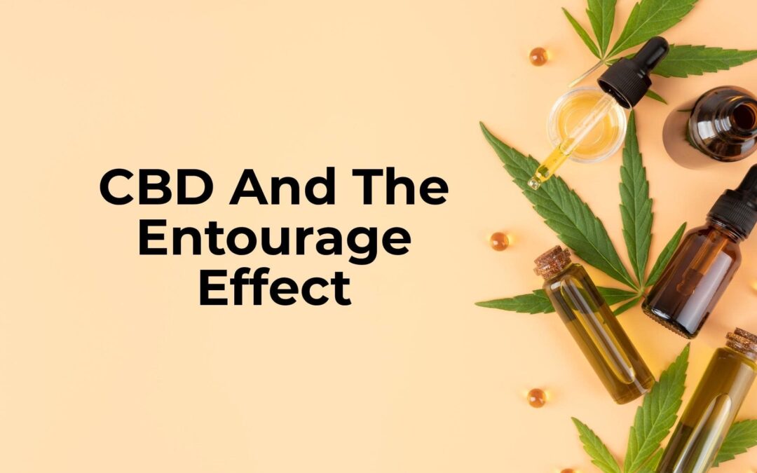 CBD And Entourage Effect: What Does It Mean