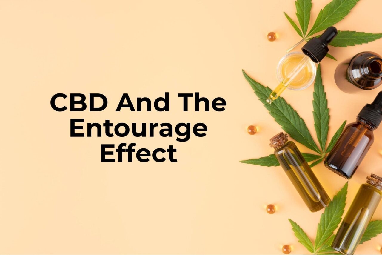 CBD And Entourage Effect