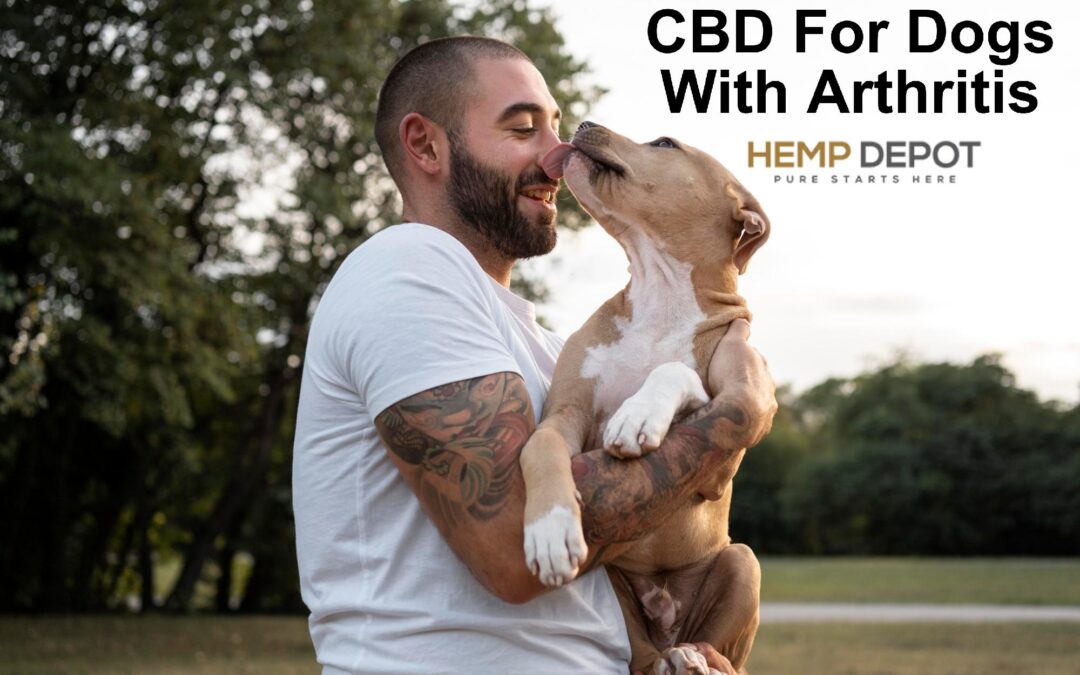 Can Dogs Have CBD Oil For Arthritis
