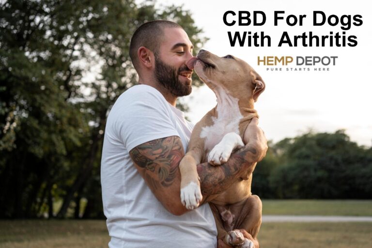 CBD For Dogs With Arthritis