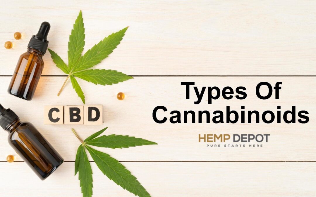 Types Of Cannabinoids
