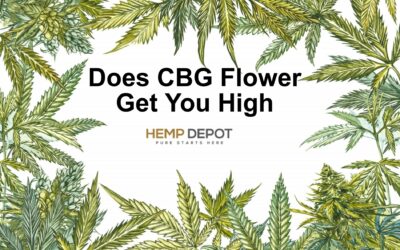 Does CBG Flower Get You High