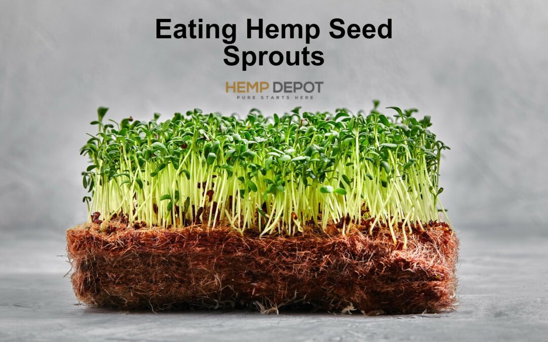 How To Sprout Hemp Seeds For Eating