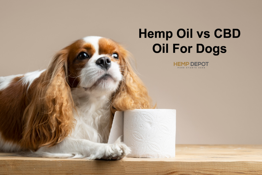 Hemp Oil vs CBD Oil For Dogs