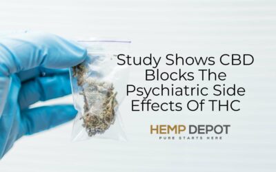 Study Shows How Cannabidiol Blocks The Psychiatric Side Effects Of THC