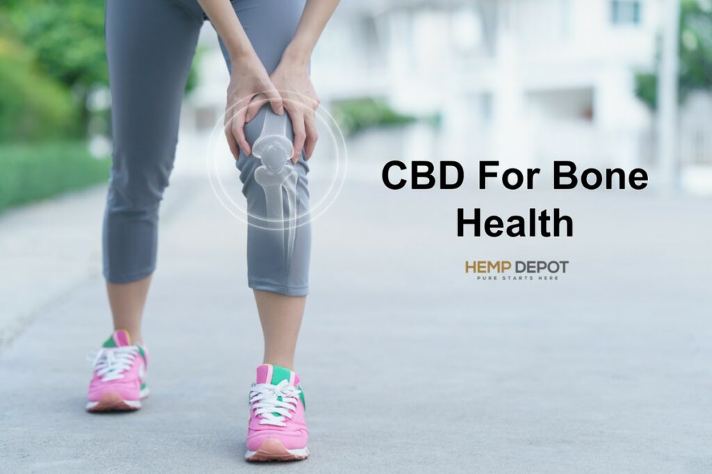 CBD For Bone Health