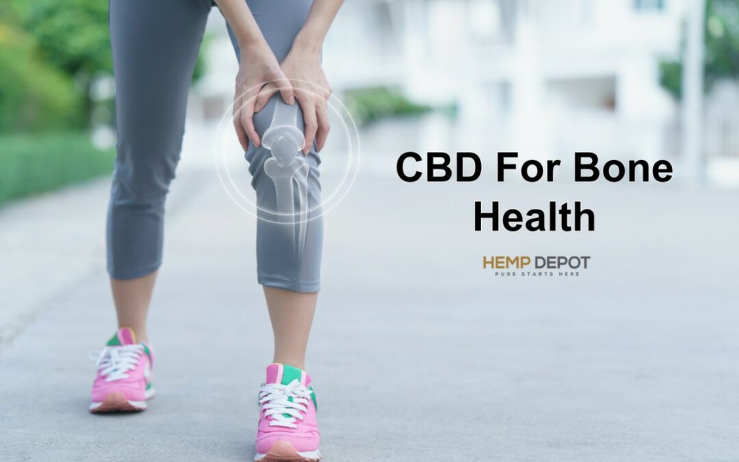 Does CBD Help With Bone Health?