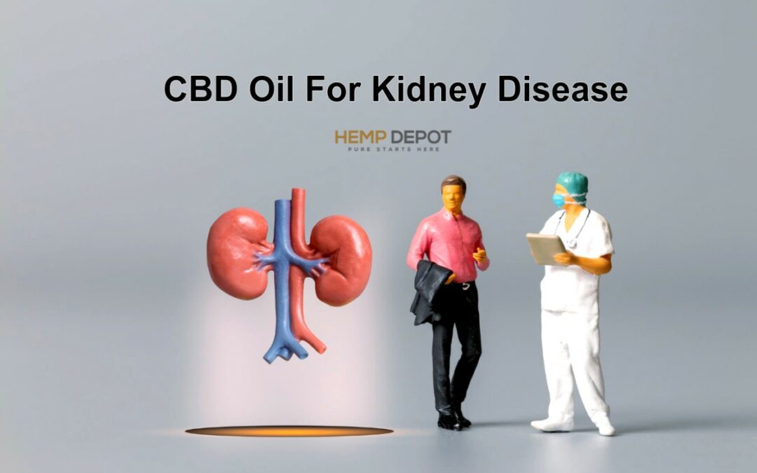 Is CBD Oil Safe For Kidneys?