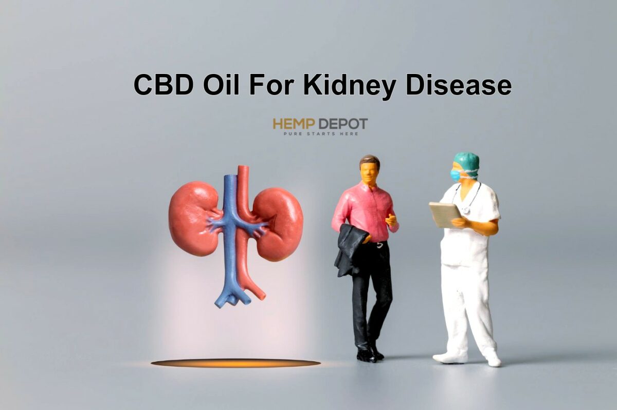 CBD Oil For Kidney Disease