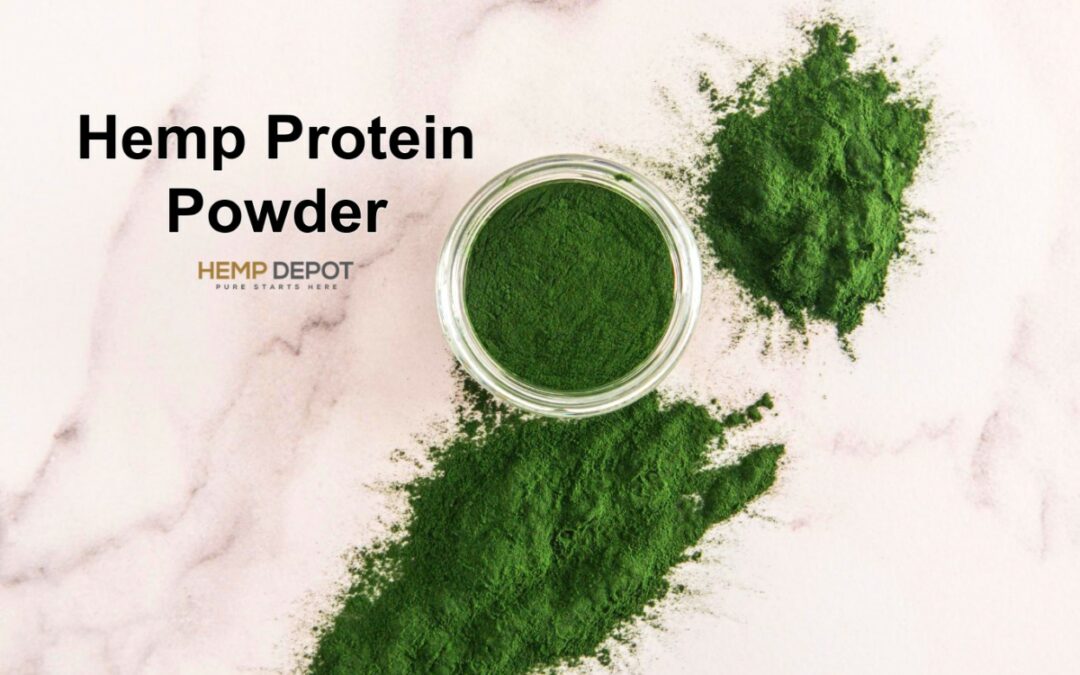 Reasons Why Hemp Powder Is Your Best Plant-Based Protein