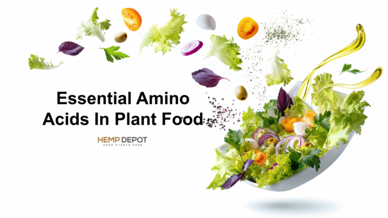 Essential Amino Acids In Plant Food