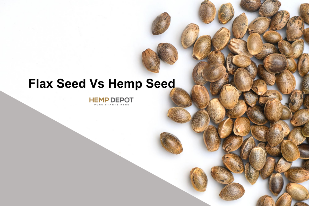 Hemp 101 Hemp Depot Premier HighQuality CBD Wholesaler