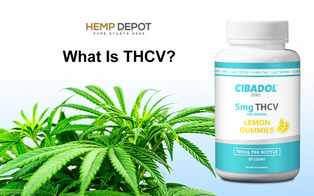 What Is THCV?
